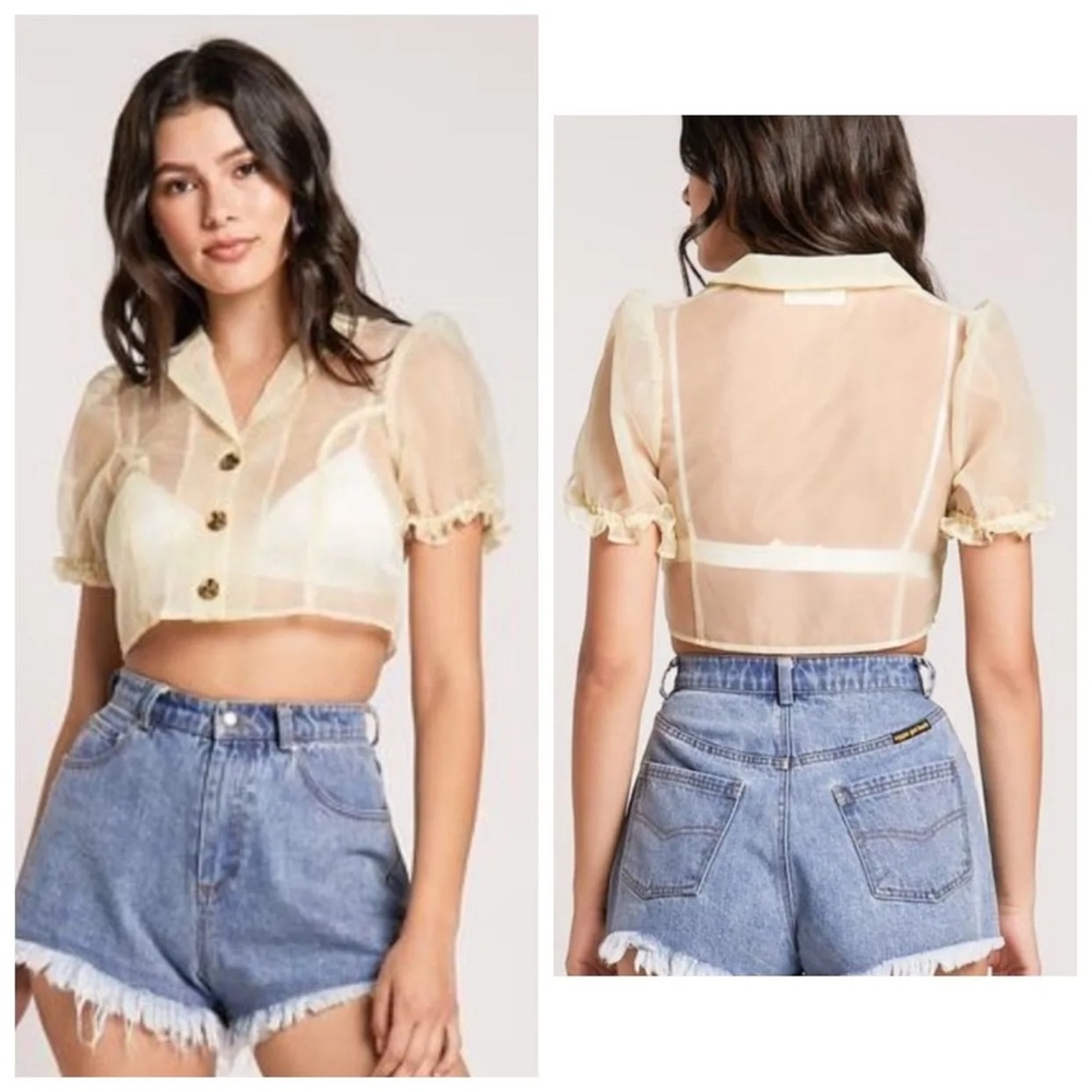 LAST CHANCE -- EGGIE Glass House Blouse NWOT